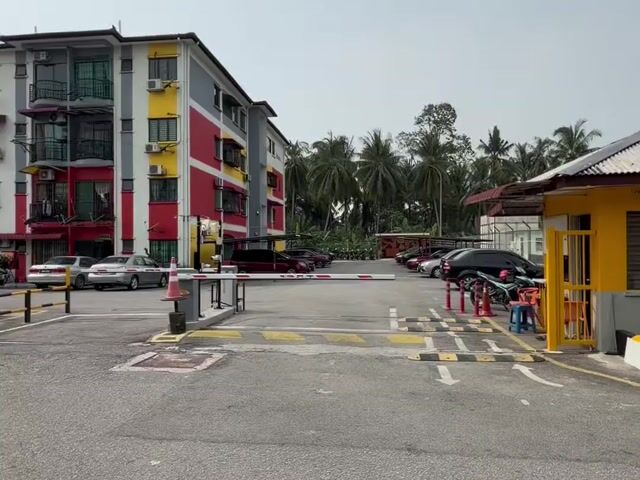 Video Image 1
