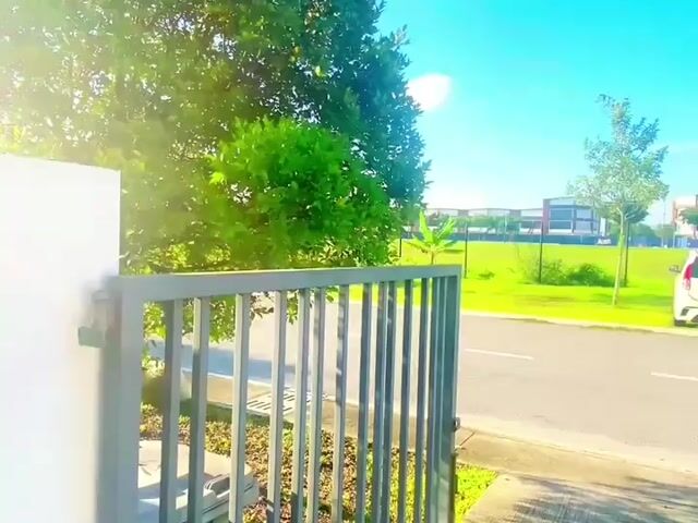 Video Image 1