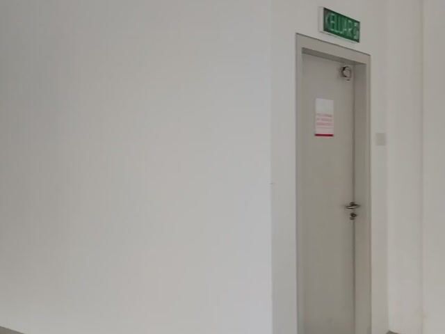 Video Image 1