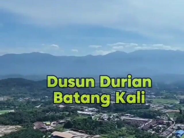 Video Image 1
