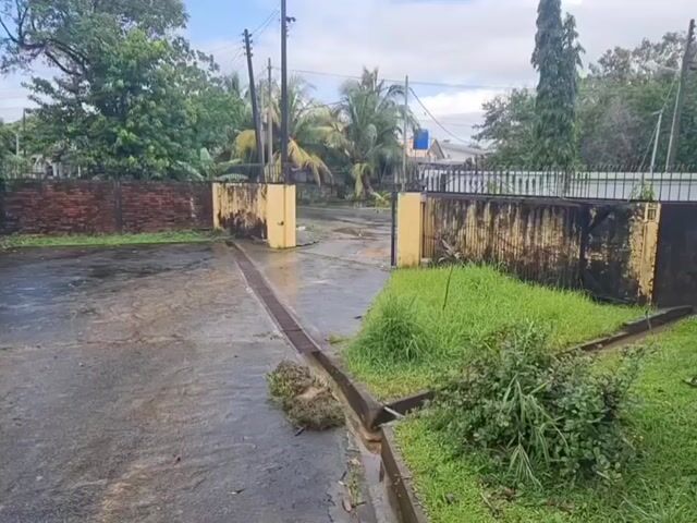 Video Image 1