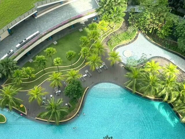 Video Image 1