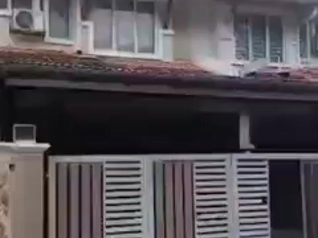 Video Image 1