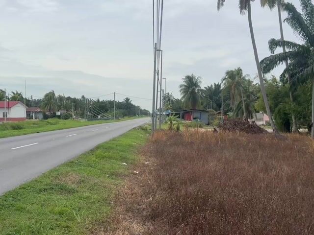Video Image 1