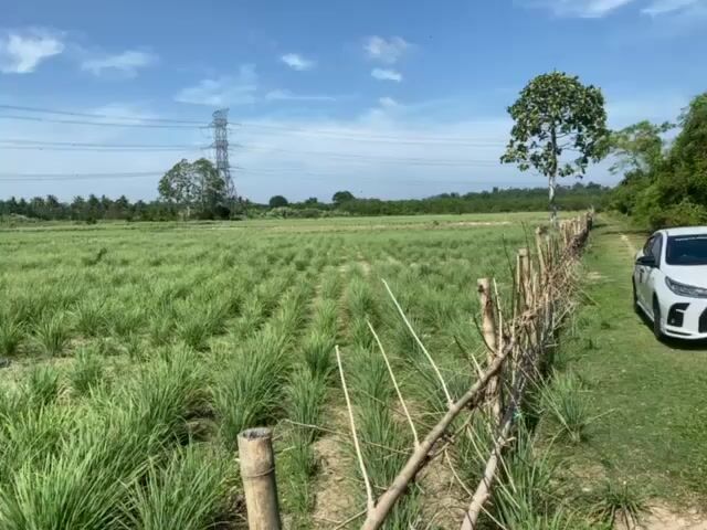 Video Image 1