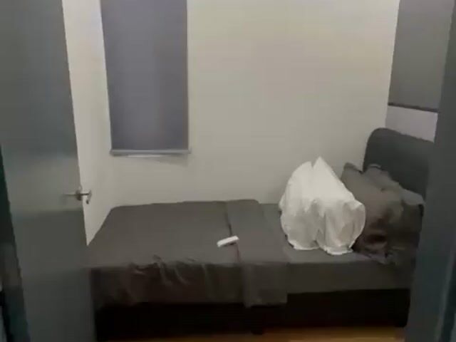 Video Image 1