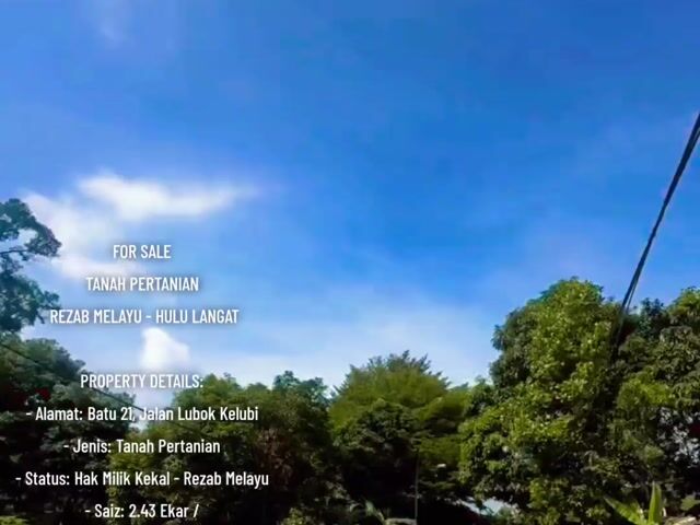 Video Image 1
