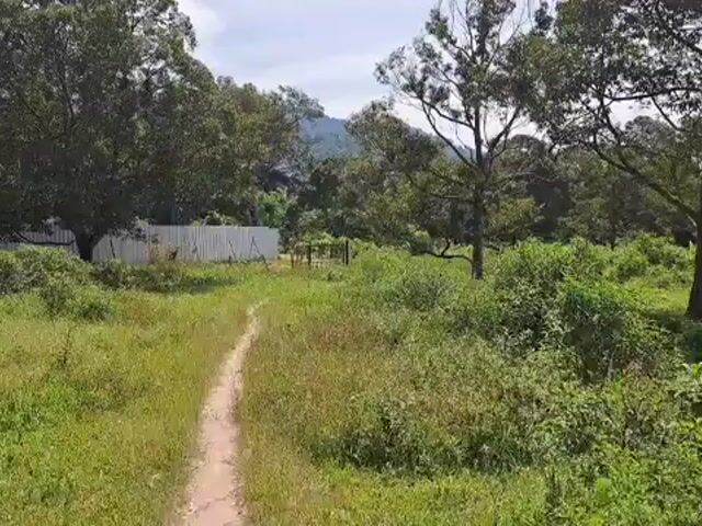 Video Image 1