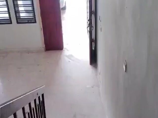 Video Image 1