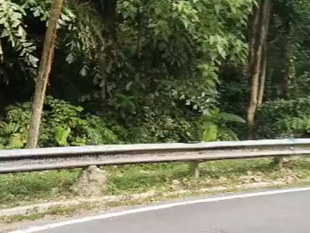 Video Image 1