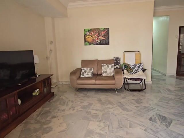 Video Image 1