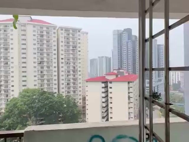 Video Image 1