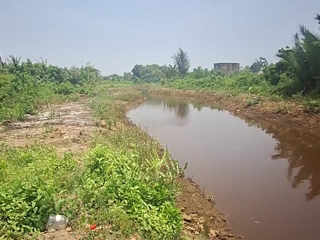 Video Image 1