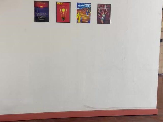 Video Image 1