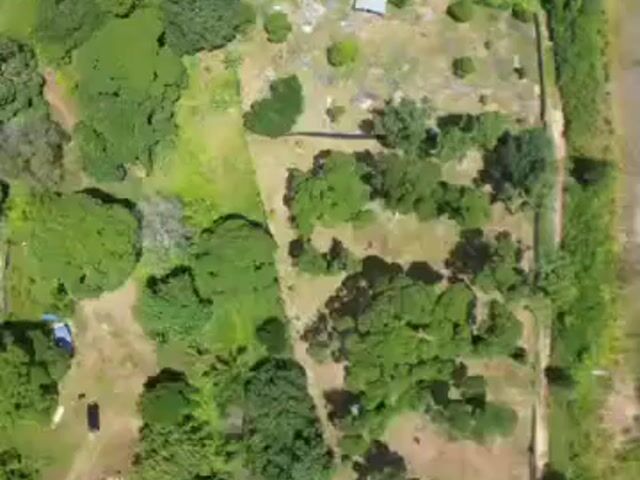 Video Image 1