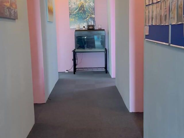 Video Image 1