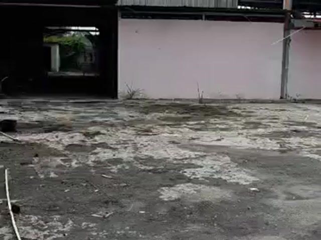 Video Image 1