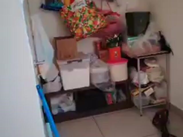 Video Image 1