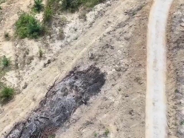 Video Image 1