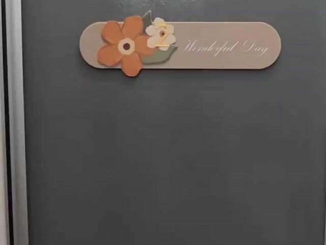 Video Image 1