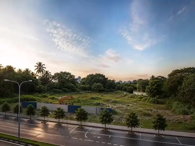 Video Image 1