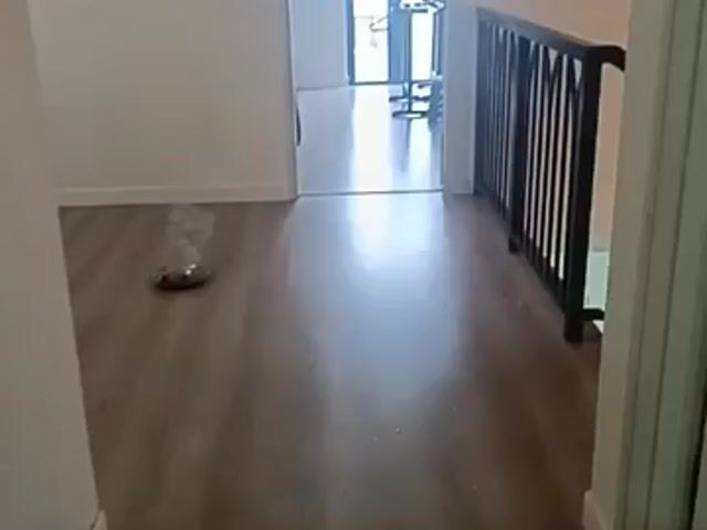 Video Image 1