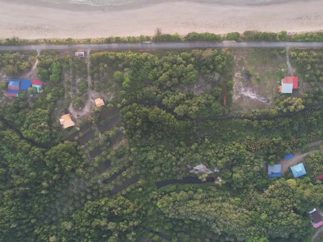 Video Image 1