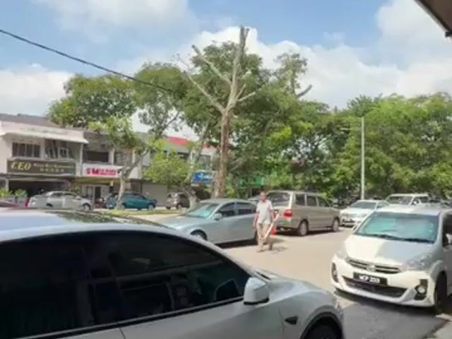 Video Image 1