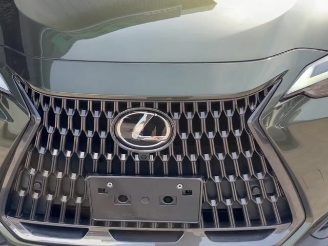 2023 Lexus NX250 2.5 BASE/Army Green/Dim/4Cam - 1