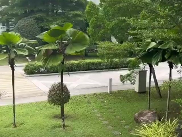 Video Image 1