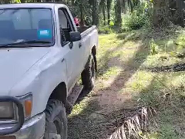 Video Image 1