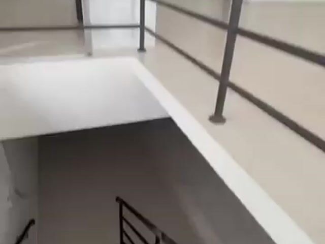 Video Image 1