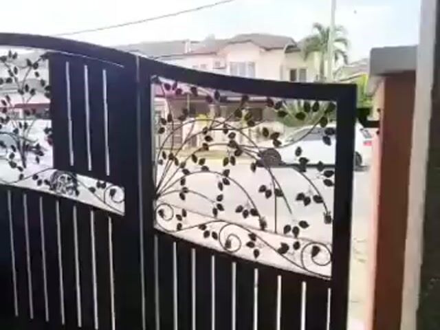 Video Image 1