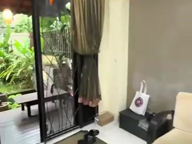 Video Image 1