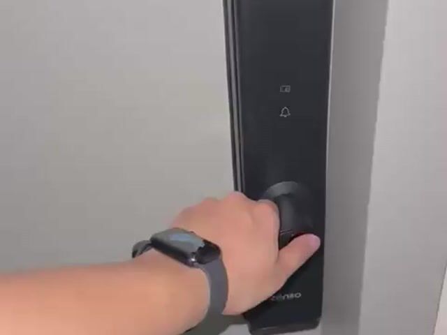 Video Image 1
