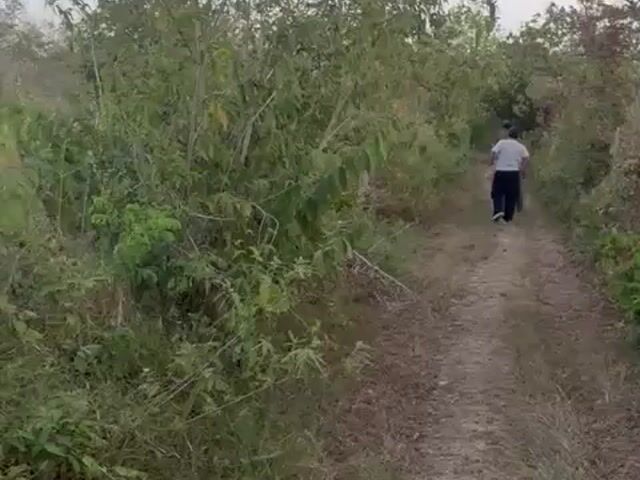 Video Image 1