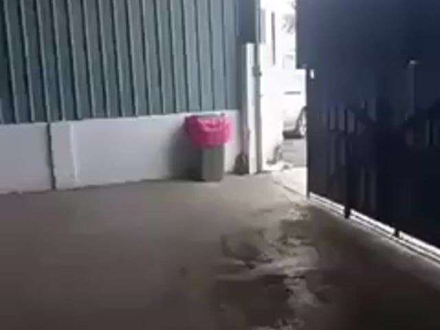 Video Image 1