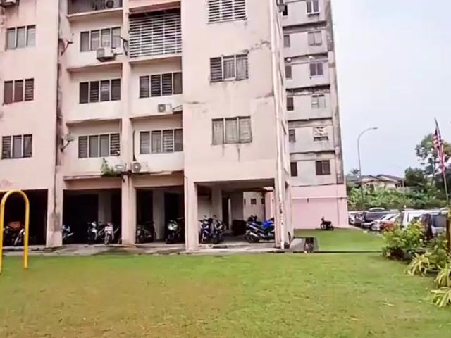 Video Image 1
