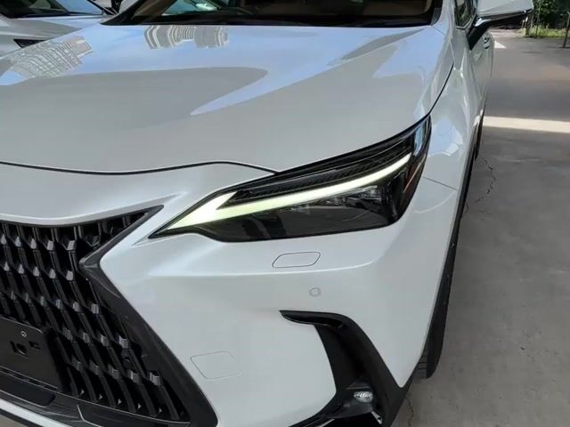2023 Lexus NX250 2.5 VL/Version L (A) - 1