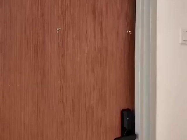Video Image 1