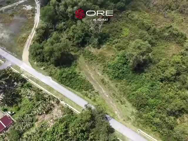 Video Image 1