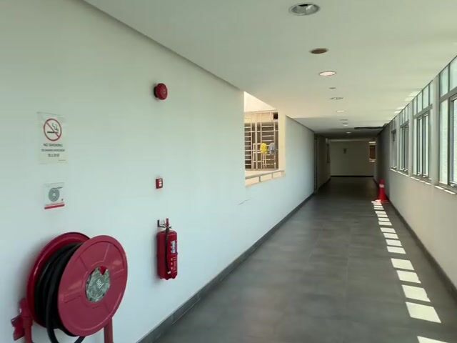 Video Image 1