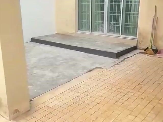 Video Image 1