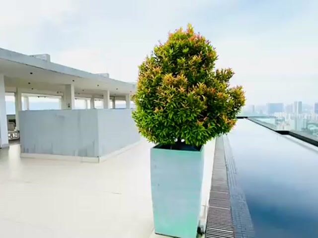 Video Image 1
