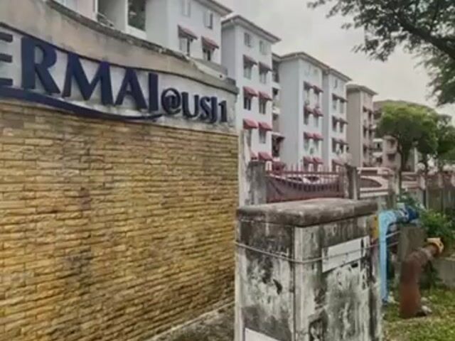 Video Image 1