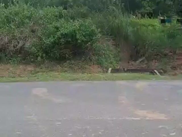 Video Image 1