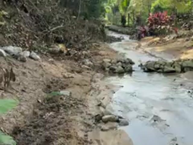 Video Image 1