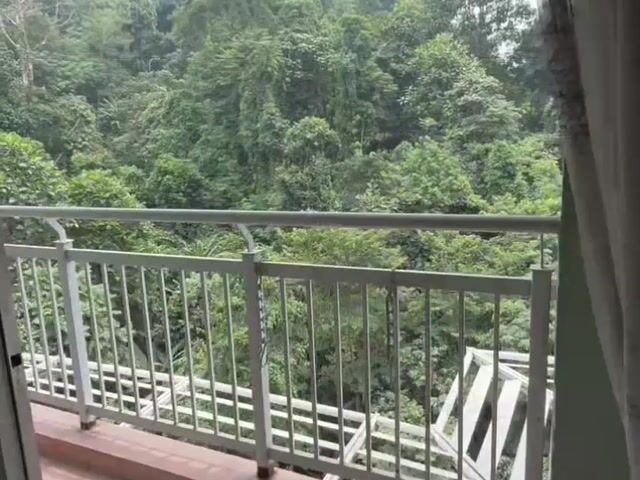 Video Image 1