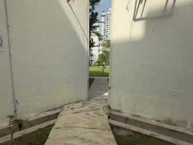 Video Image 1