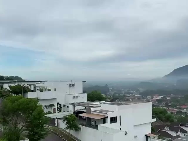Video Image 1